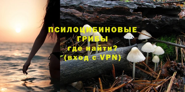 ECSTASY Краснослободск