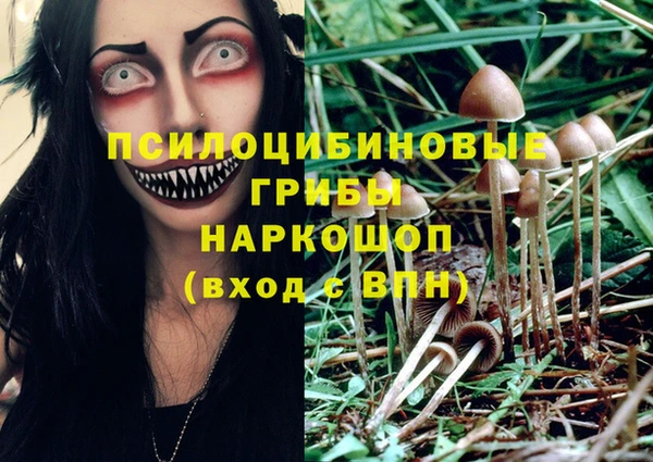 ECSTASY Краснослободск