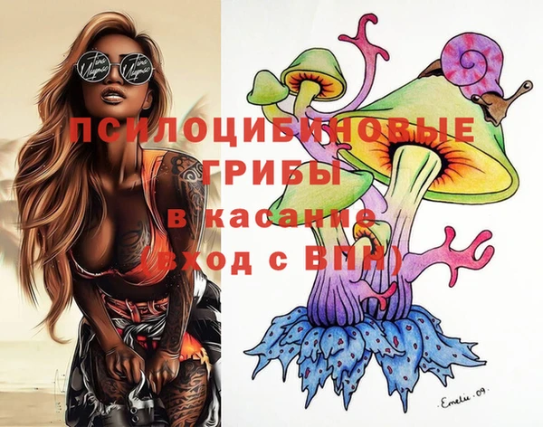 ECSTASY Краснослободск